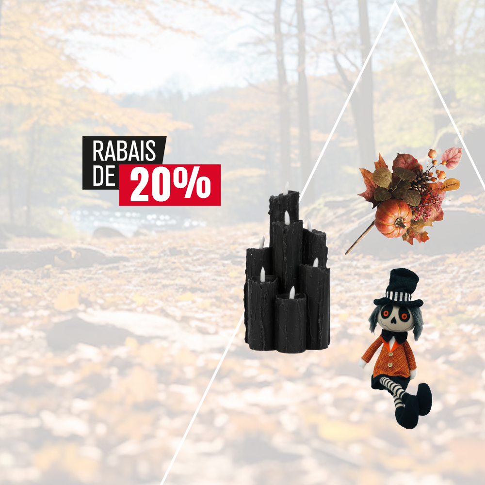 Rabais de 20% sur les décorations d’Halloween et d’automne ! 