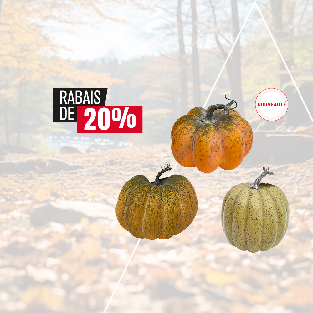 Rabais de 20 % sur les citrouilles d’automne sélectionnées ! 